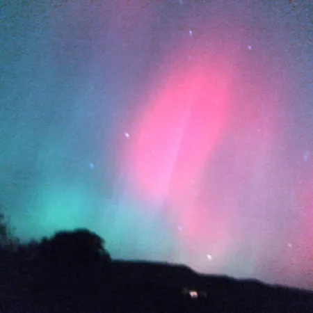 Station 펜션 호스